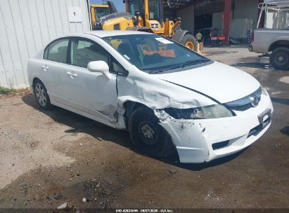 HONDA CIVIC 2010 19XFA1F59AE030851