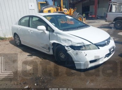 HONDA CIVIC 2010 19XFA1F59AE030851