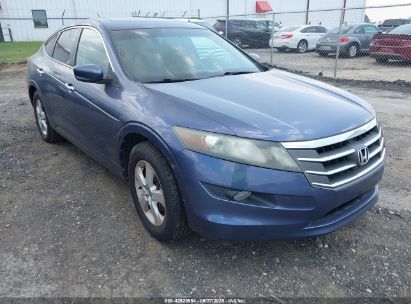 HONDA CROSSTOUR 2012 5J6TF1H33CL000569