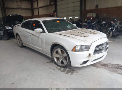 DODGE CHARGER 2014 2C3CDXHG0EH220077