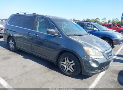 HONDA ODYSSEY 2006 5FNRL38746B432294