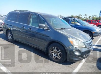 HONDA ODYSSEY 2006 5FNRL38746B432294