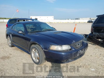 FORD MUSTANG 2002 VIN 1FAFP40452F135819