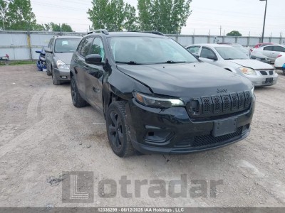 JEEP CHEROKEE 2019 1C4PJMCB9KD389247