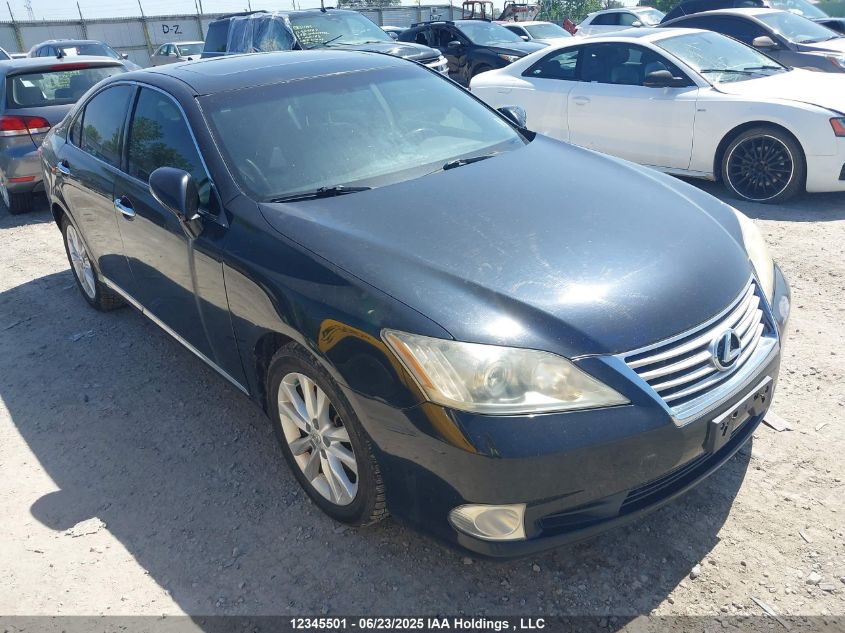 LEXUS ES 350 2010 JTHBKIEG3A2353707