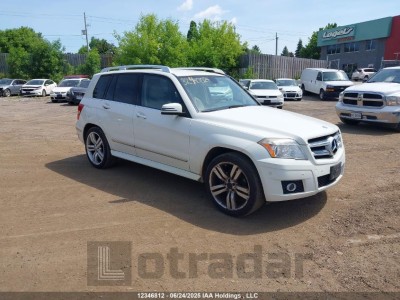 MERCEDES-BENZ GLK 350 2010 WDCGG8HB1AF437769
