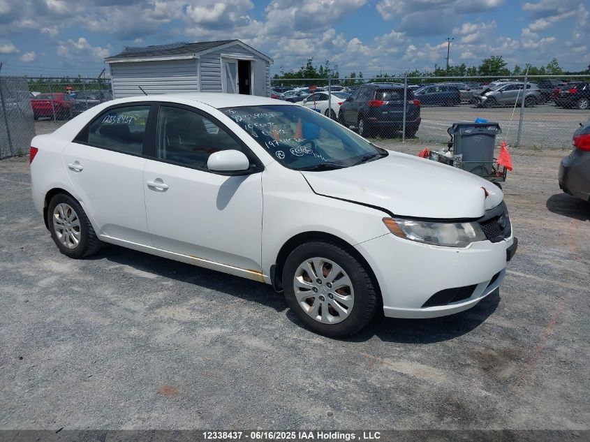 KIA FORTE 2010 KNAFT4A25A5093950
