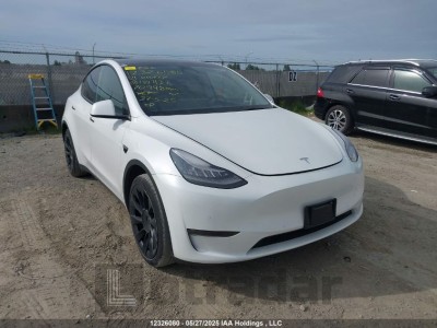 TESLA MODEL Y 2021 5YJYGDED9MF181432