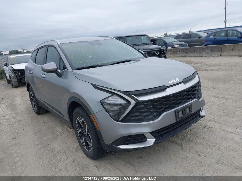 KIA SPORTAGE 2024 KNDPUCDF3R7317813