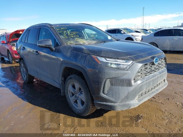 TOYOTA RAV4 2024 VIN 2T3RWRFV4RW240223