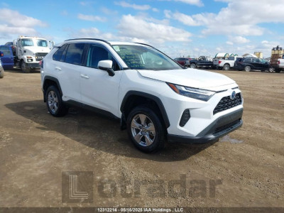 TOYOTA RAV4 2024 2T3RWRFV2RW230662