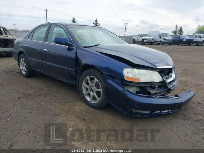ACURA 3.2TL 2002 VIN 19UUA56842A804745