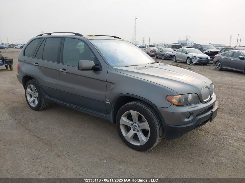 BMW X5 2006 5UXFB535X6LV28434
