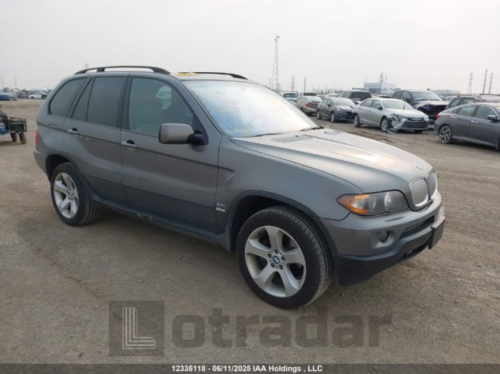 BMW X5 2006 VIN 5UXFB535X6LV28434