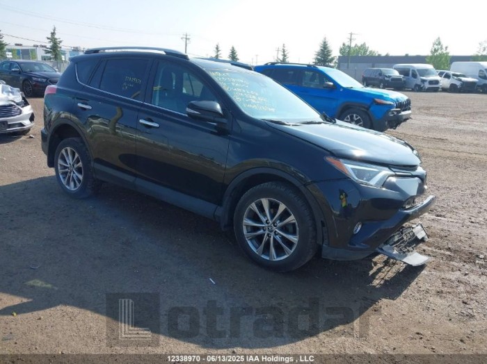 TOYOTA RAV4 2016 VIN 2T3DFREV2GW487233