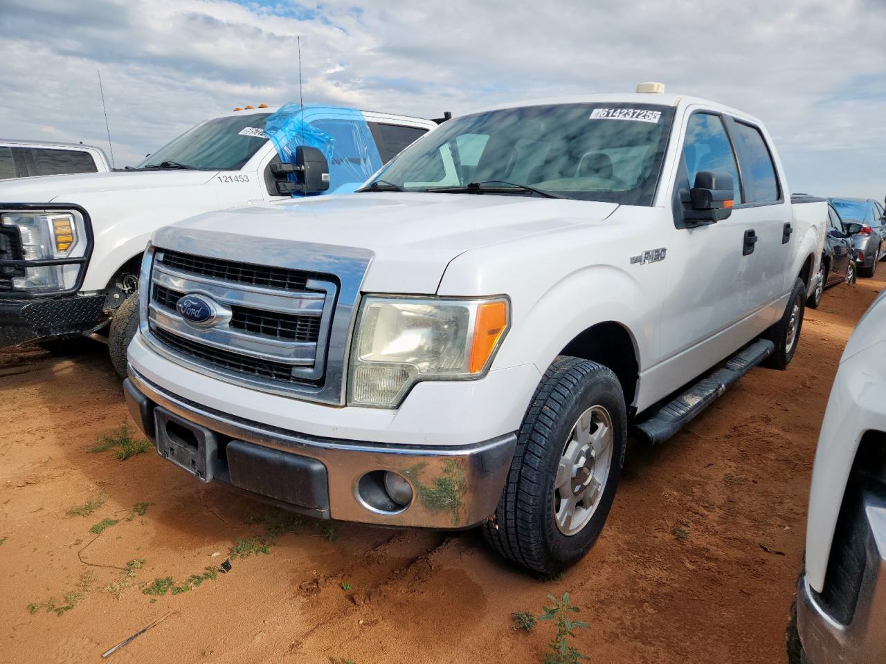 FORD F-150 2013 1FTFW1CF1DFB04224