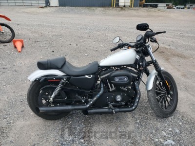 HARLEY-DAVIDSON XL883 N 2009 VIN 1HD4LE2489K446936