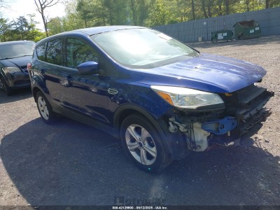Ford Escape 2015 1FMCU9GX4FUC19226