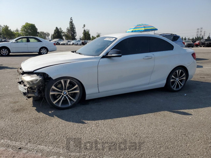 BMW 2 series 2015 VIN WBA1F9C55FVW98550