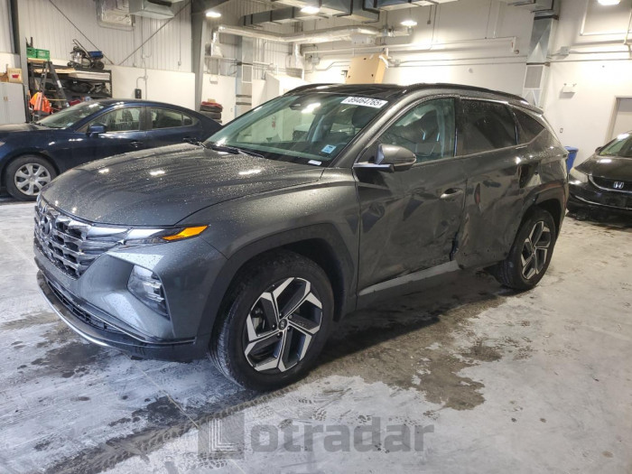 Hyundai Tucson 2024 VIN KM8JDDD21RU236699