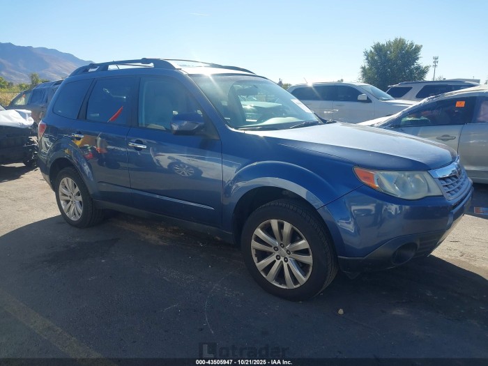 Subaru Forester 2013 VIN JF2SHADC1DH432696