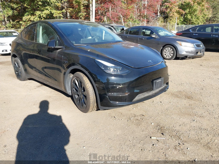 Tesla Model y 2024 VIN 7SAYGDEE3RA225442
