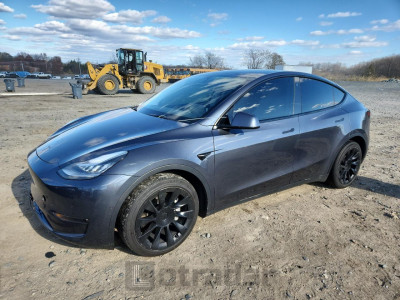 Tesla Model y 2021 5YJYGDEE1MF151589