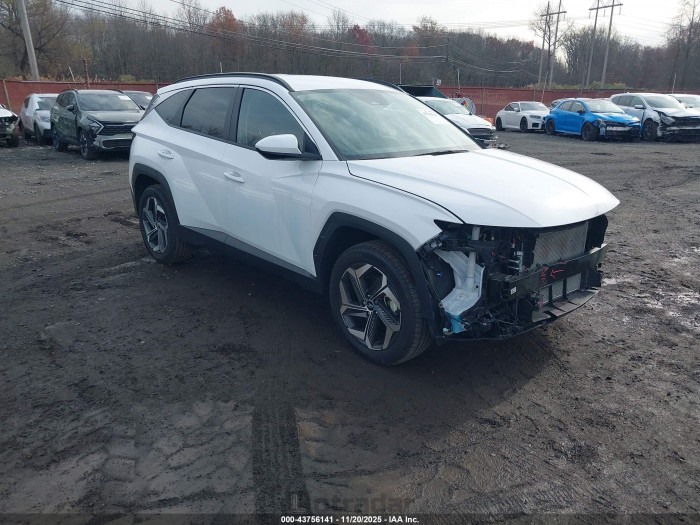 Hyundai Tucson 2024 VIN 5NMJBCDE7RH428344