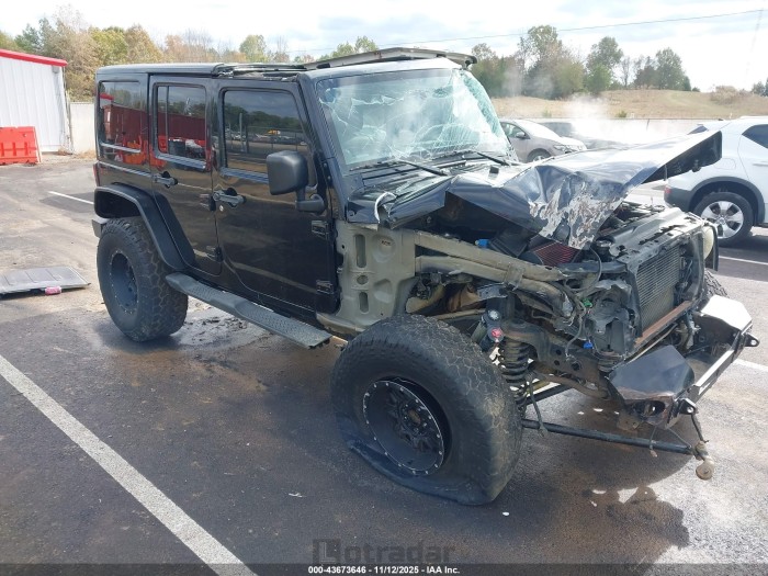 Jeep Wrangler / 2012 VIN 1C4BJWEG3CL232819