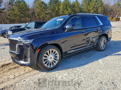 Cadillac Escalade 2022 1GYS4CKL8NR243039