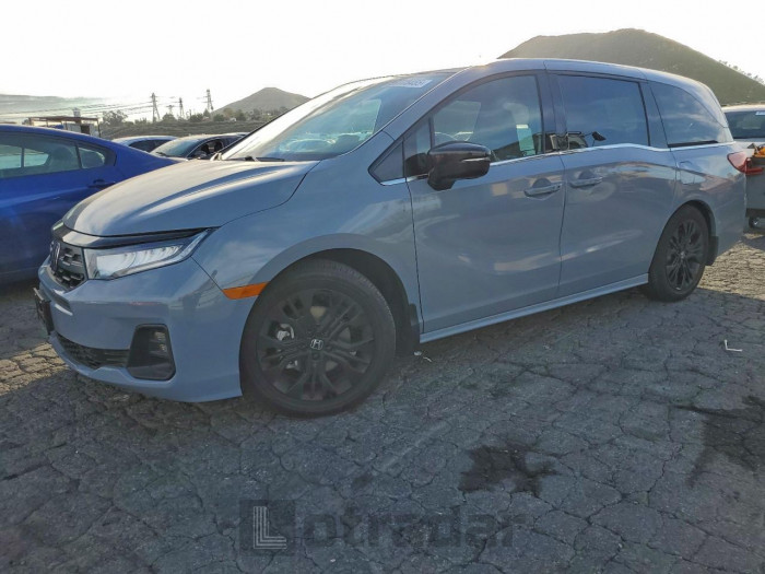Honda Odyssey 2025 VIN 5FNRL6H79SB081894