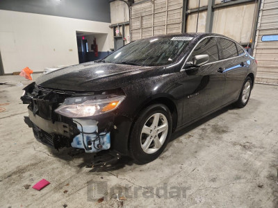 Chevrolet Malibu 2019 1G1ZB5ST9KF211423