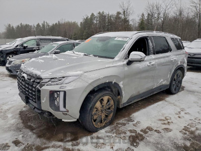 Hyundai Palisade 2024 KM8R3DGE5RU738384