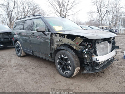 Hyundai Santa fe 2024 5NMP2DGL0RH060499