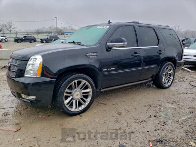 Cadillac Escalade 2013 1GYS4CEF1DR210551