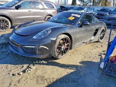 Porsche Cayman 2016 VIN WP0AB2A80GK185826