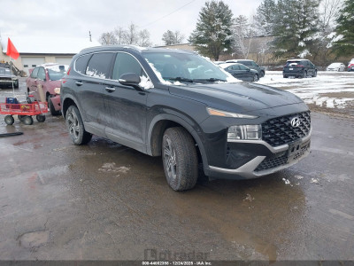 Hyundai Santa fe 2023 5NMS2DAJ6PH518318