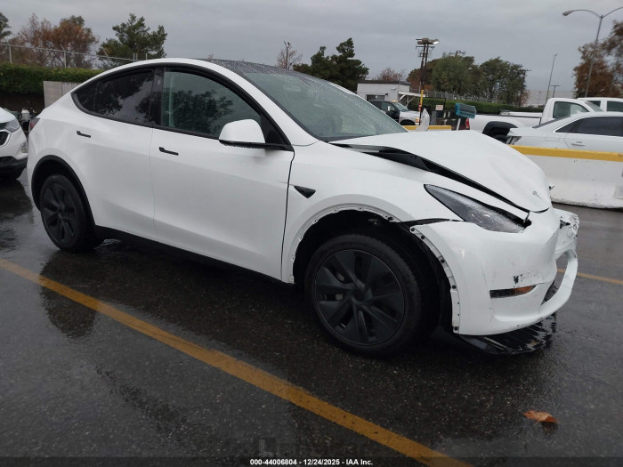 Tesla Model y 2024 VIN 7SAYGDED3RF149621