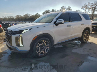 Hyundai Palisade 2024 KM8R54GE9RU799683