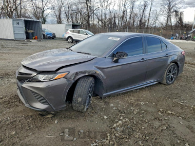Toyota Camry 2020 4T1G11BK8LU019307