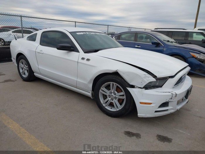 Ford Mustang 2014 VIN 1ZVBP8AM1E5281432