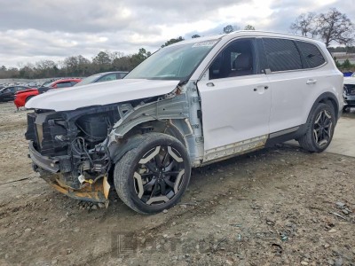 Kia Telluride 2024 VIN 5XYP34GC5RG465636