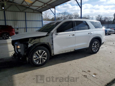 Hyundai Palisade 2020 KM8R24HE9LU114077