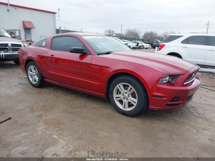 Ford Mustang 2014 VIN 1ZVBP8AM4E5280081