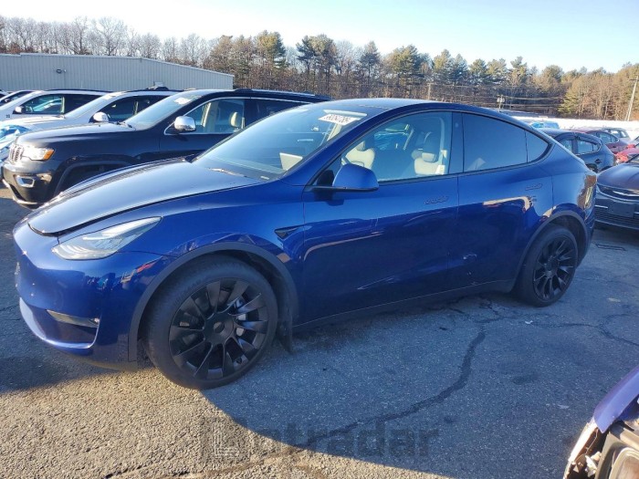 Tesla Model y 2023 VIN 7SAYGDEE0PA115686