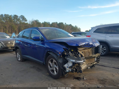 Hyundai Tucson 2024 5NMJBCDE5RH300989