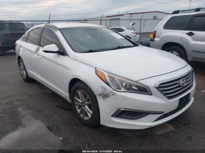 Hyundai Sonata 2016 5NPE24AF6GH339093