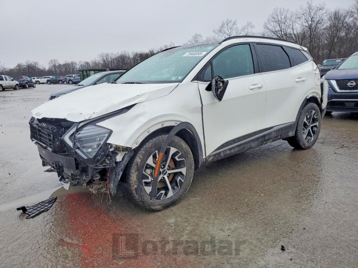 Kia Sportage 2024 VIN KNDPVCDG1R7158229