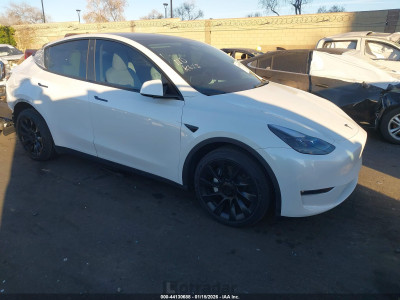 Tesla Model y 2022 7SAYGAEE3NF558560