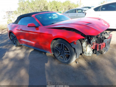 Ford Mustang 2019 1FATP8UHXK5126305